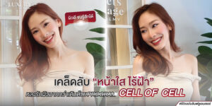 หน้าใสไร้ฝ้า
