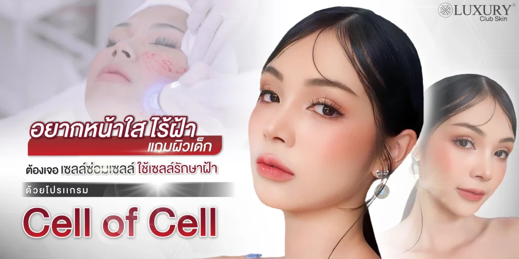รักษาฝ้า แก้ฝ้า