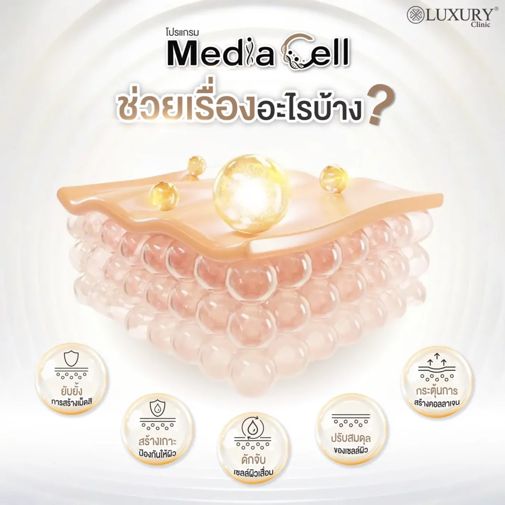 media cell ช่วยเรื่องอะไรบ้าง