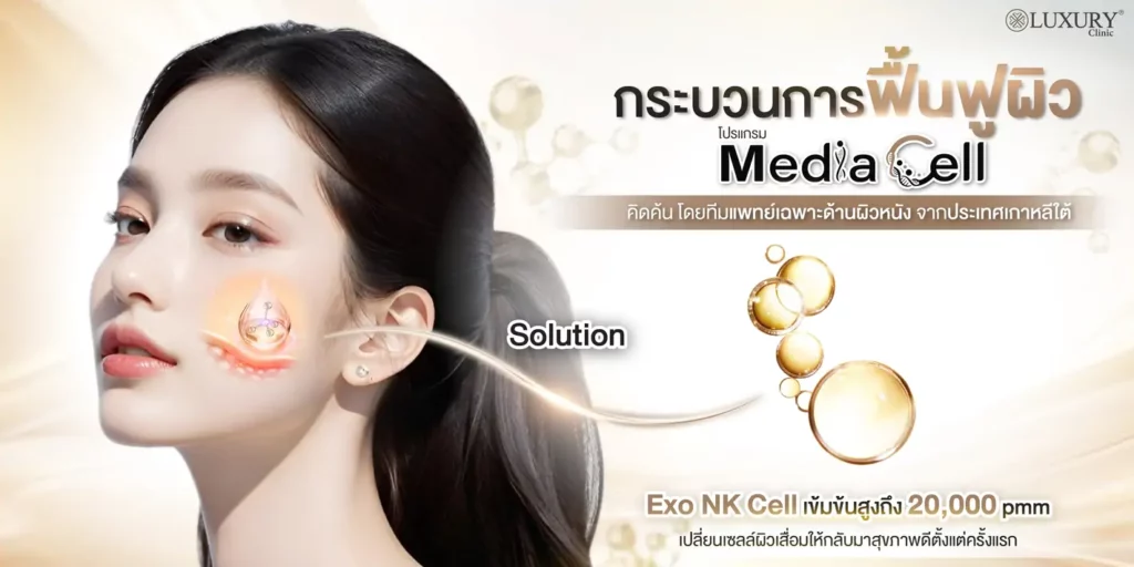 กระบวนการฟื้นฟูผิว media cell