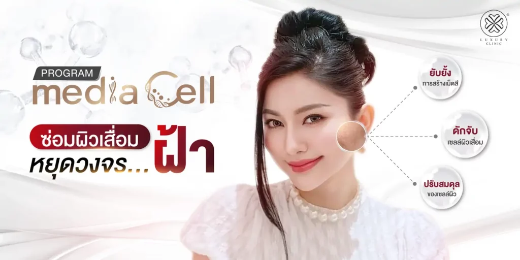 รีวิว media cell คุณน้ำมนต์