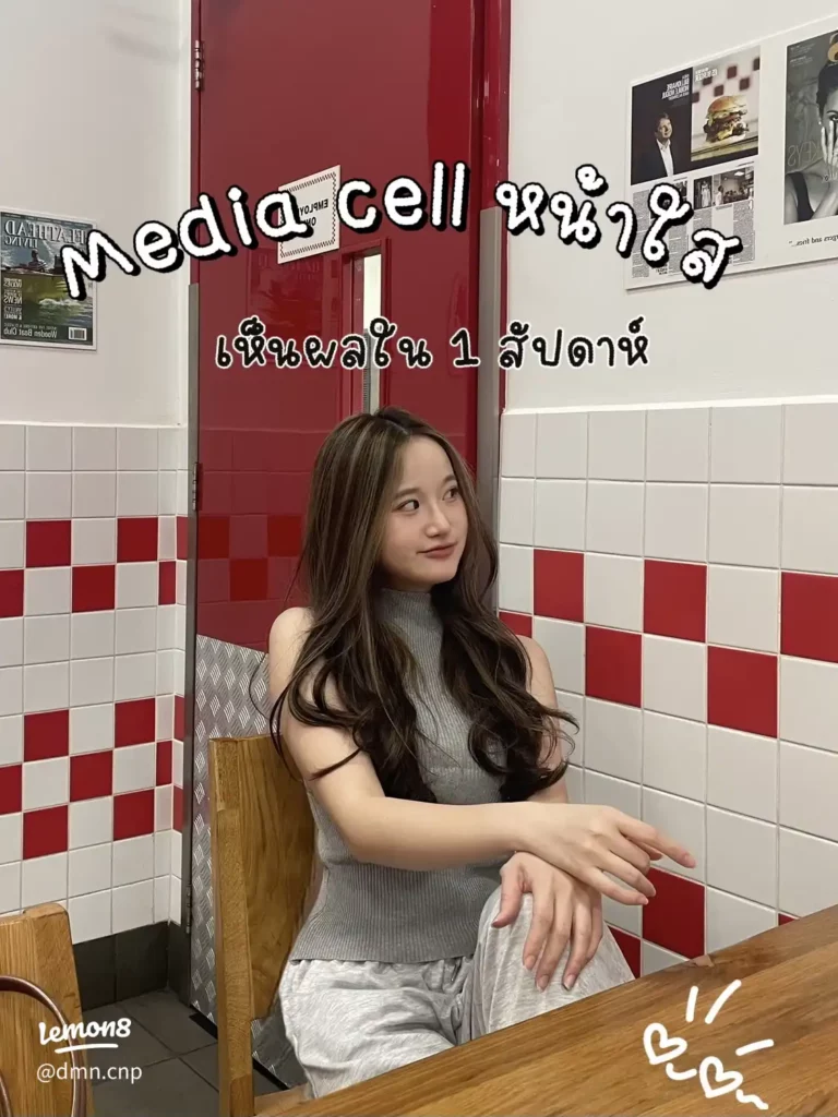 โปรแกรม media cell สุดจึ้ง